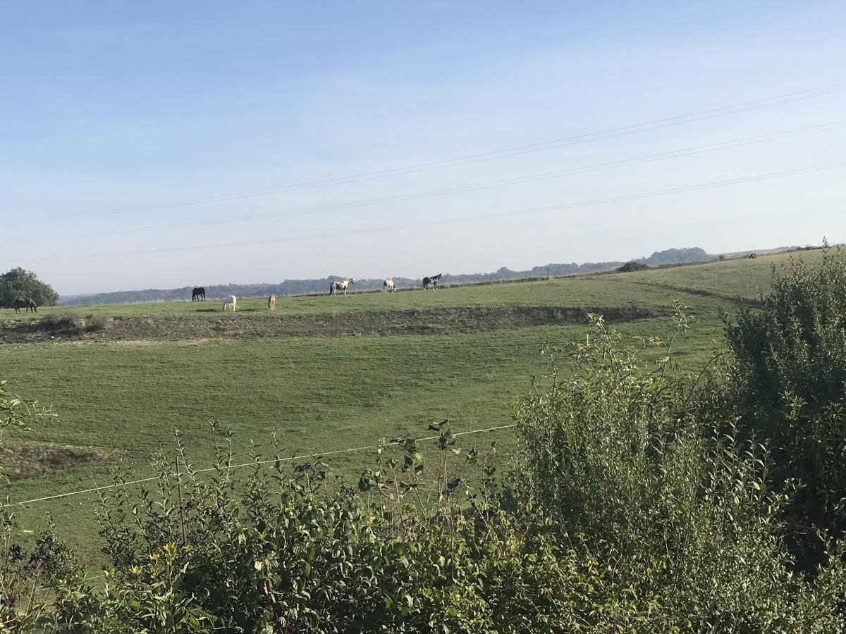 La pension équestre en écurie active La pension équestre en écurie active