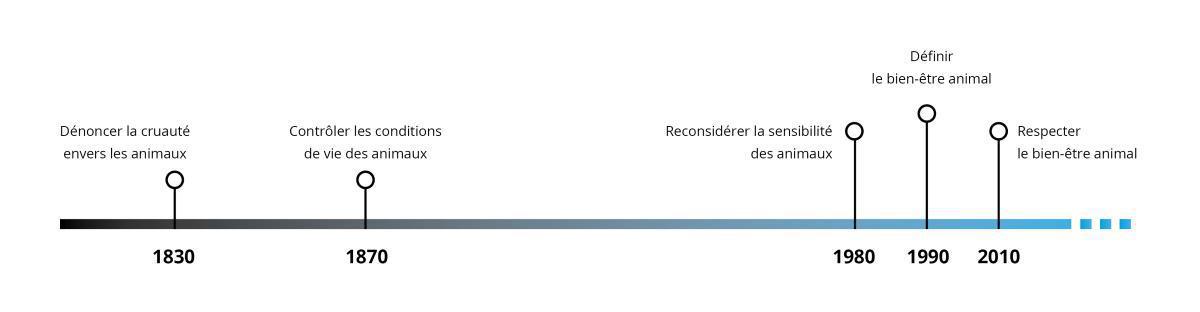 Le bien-être du cheval  Le bien-être du cheval