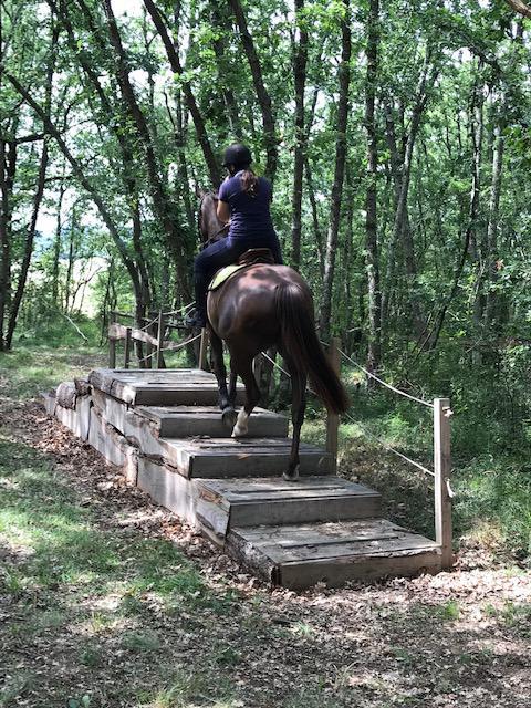 Parcours MONTAINS TRAIL 8