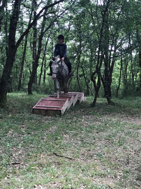 Parcours MONTAINS TRAIL 7