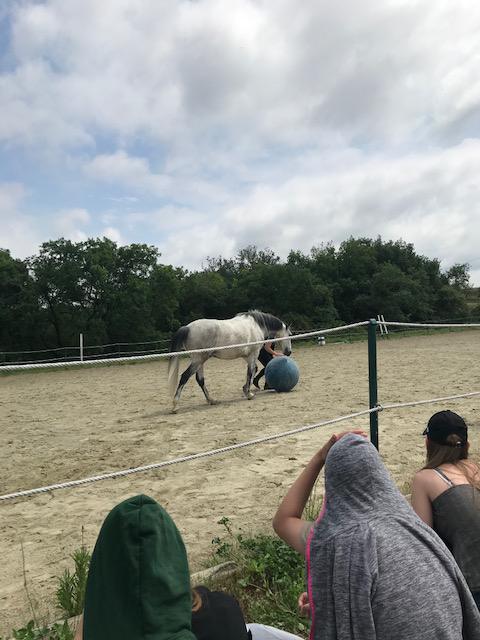 Cours individuels avec Christophe Muzart 5