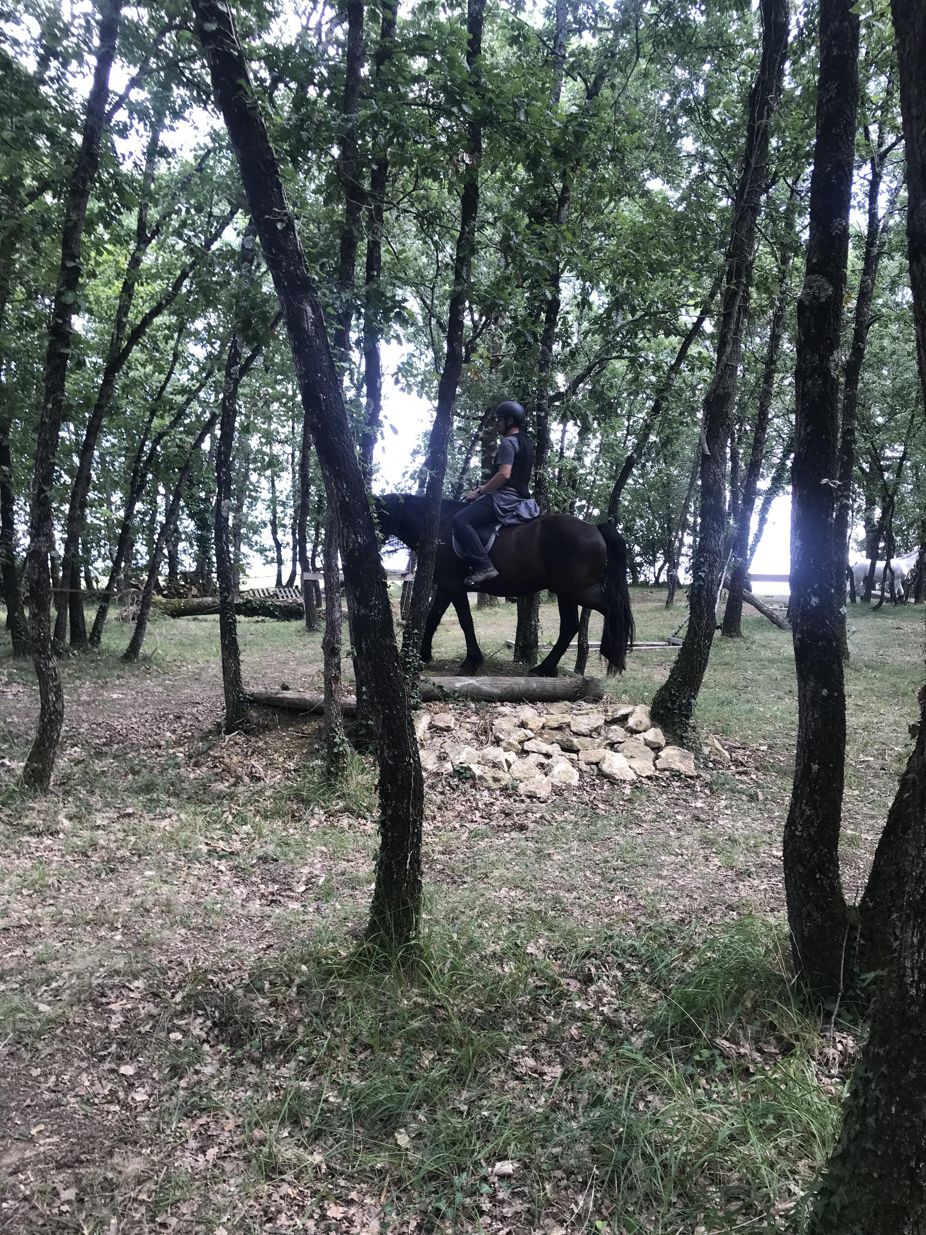 Parcours Mountain trail