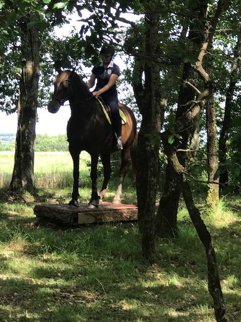 Parcours MONTAINS TRAIL 10