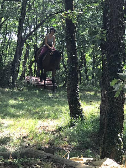 Parcours MONTAINS TRAIL 9