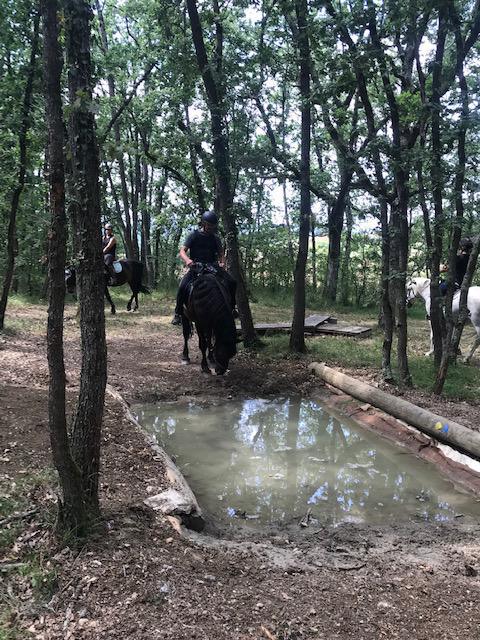 Parcours MONTAINS TRAIL 5