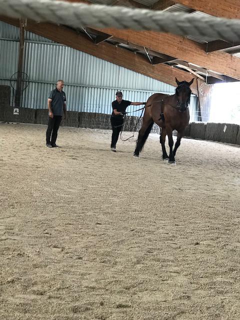 Cours particuliers avec Claude Cesario  6