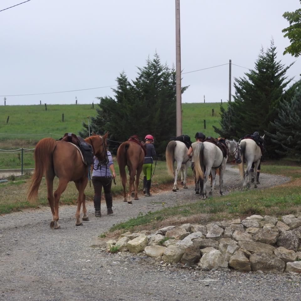 Balade à cheval