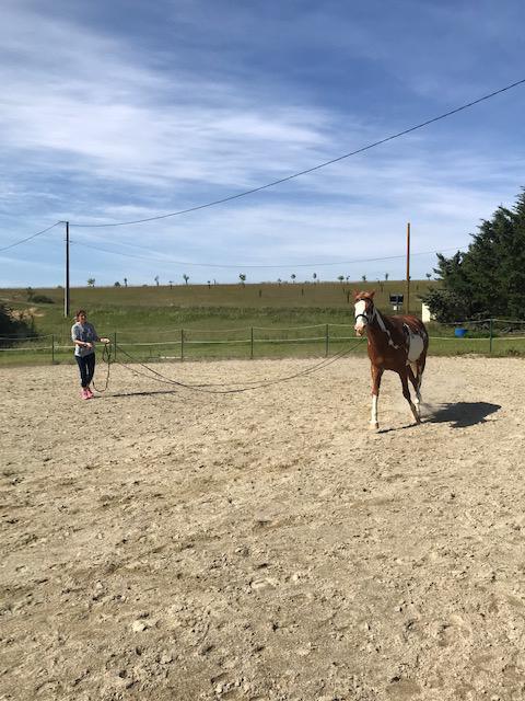 Cours individuels avec Christophe Muzart 6