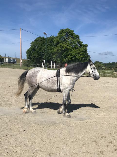 Cours individuels avec Christophe Muzart 7