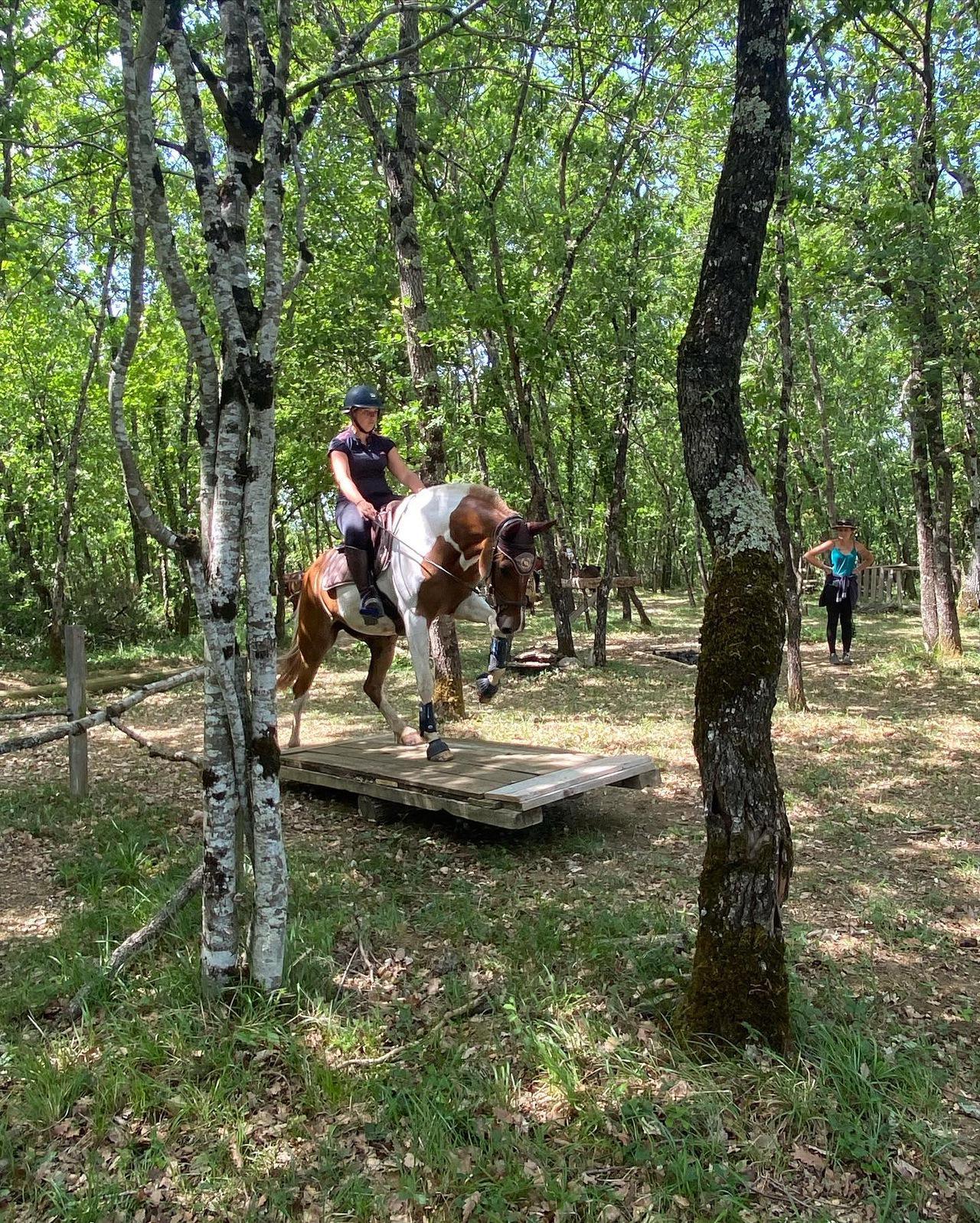 Dispose dans le Mountain trail 