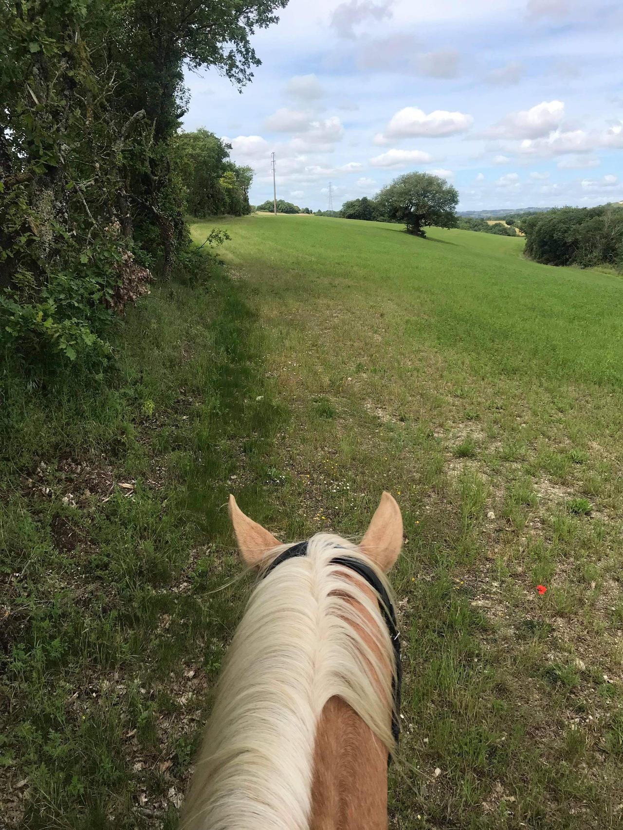 Balade à cheval