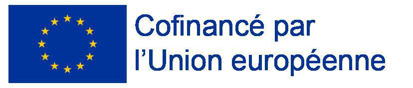 La Mission Locale Sarthe et Loir s’engage dans la Remobilisation des Publics 16-25 ans, avec le soutien de l’Union Européenne La Mission Locale Sarthe et Loir s’engage dans la Remobilisation des Publics 16-25 ans, avec le soutien de l’Union Européenne