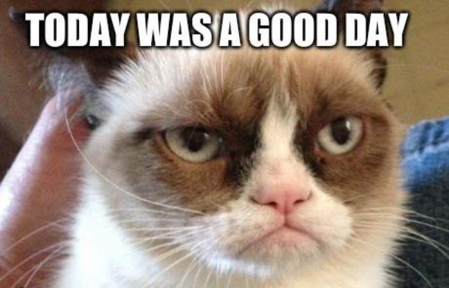 Https Encrypted Tbn0 Gstatic Com Images Q Tbn 3aand9gct2e7qufm3wtfgmkb185s4evdgbpsc0b8aurg Usqp Cau