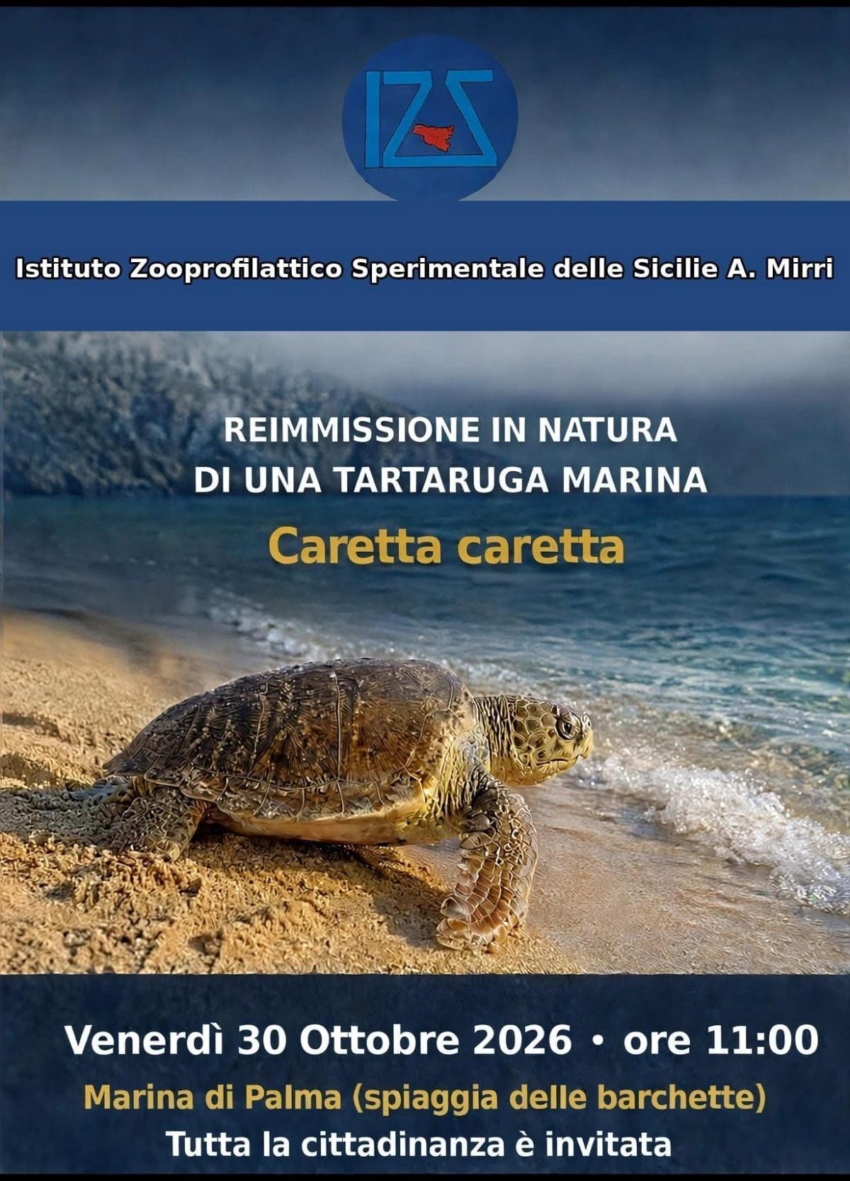 Reimmissione in natura tartaruga marina "caretta caretta" - Mercato alla Voce dal Mare alla Tavola (dalle ore 10:30)