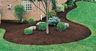 Discover Mulch