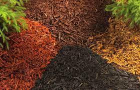 Discover Mulch