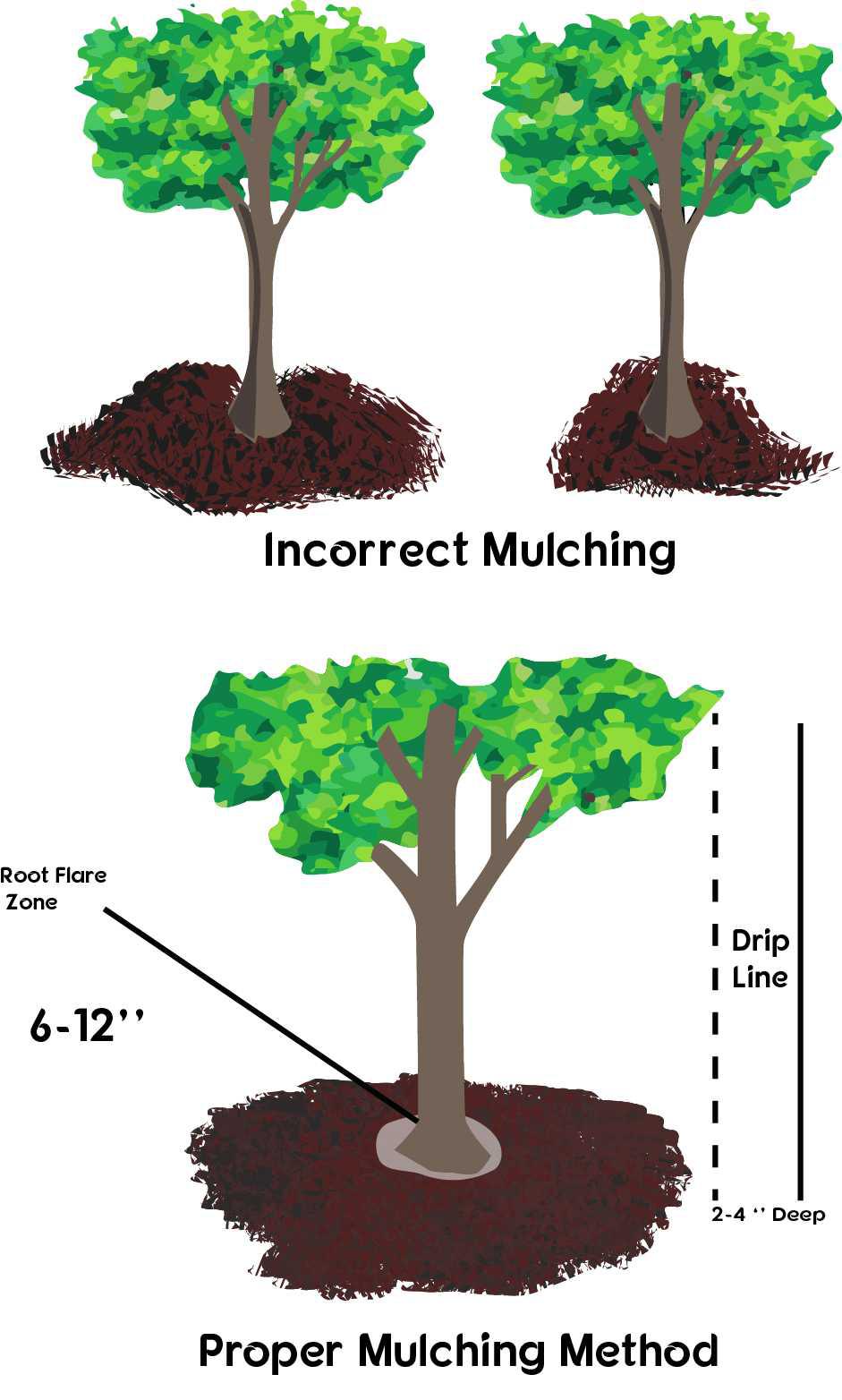 Discover Mulch