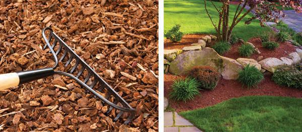 Discover Mulch