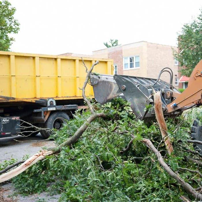 Top 5 Storm Damage Tree Clean-up Techniques