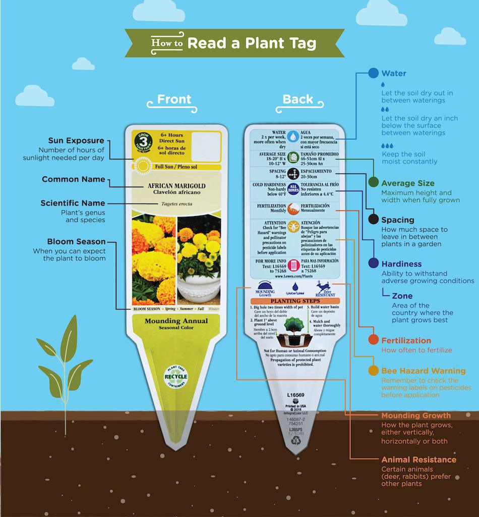Reading Plant Tags