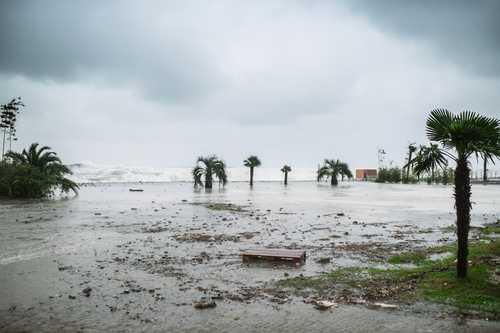 Cyclone Garance à La Réunion : aide solidaire pour les salariés HCR