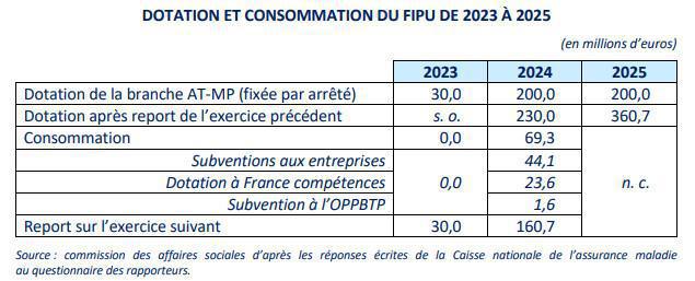 FIPU : seuls 31% des fonds ont été consommés en 2024 FIPU : seuls 31% des fonds ont été consommés en 2024