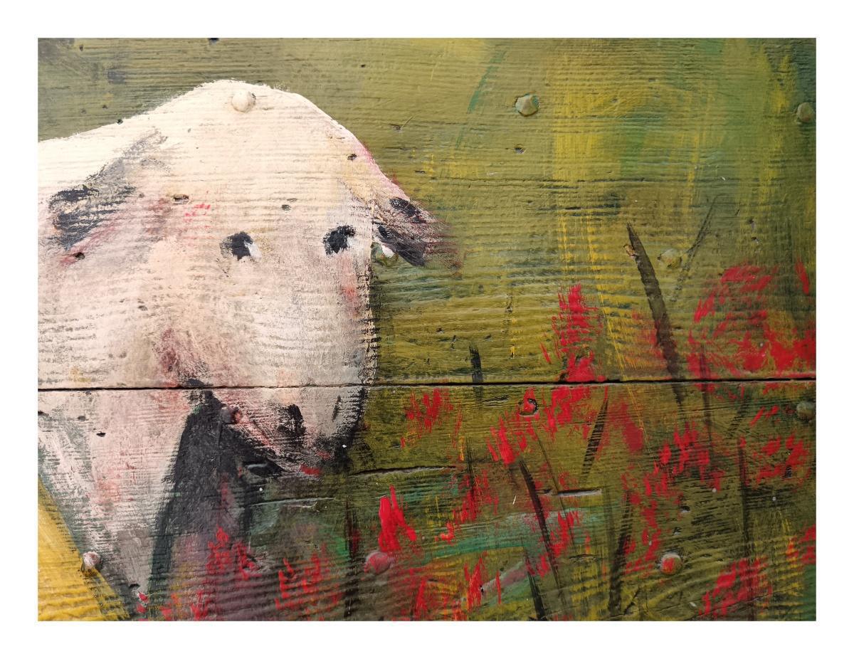 PROMENEURS ! Attitude à adopter en Montagne & Estives PROMENEURS ! Attitude à adopter en Montagne & Estives