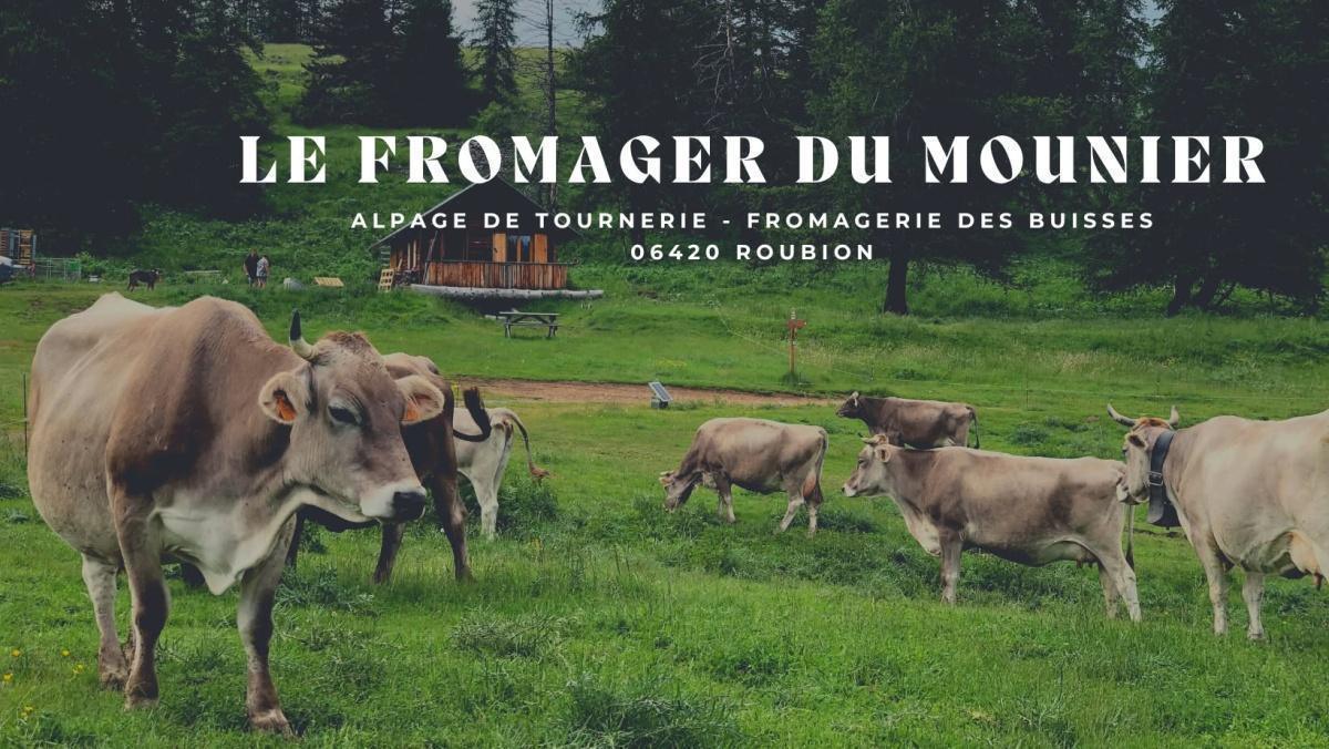 Mini Randonnée découverte de la Fromagerie des Buisses Mini Randonnée découverte de la Fromagerie des Buisses