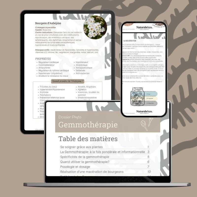 eBook - Gemmothérapie (jusqu'au 15.08.2025)
