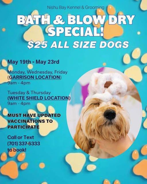 Bath & Blow Dry Special! 