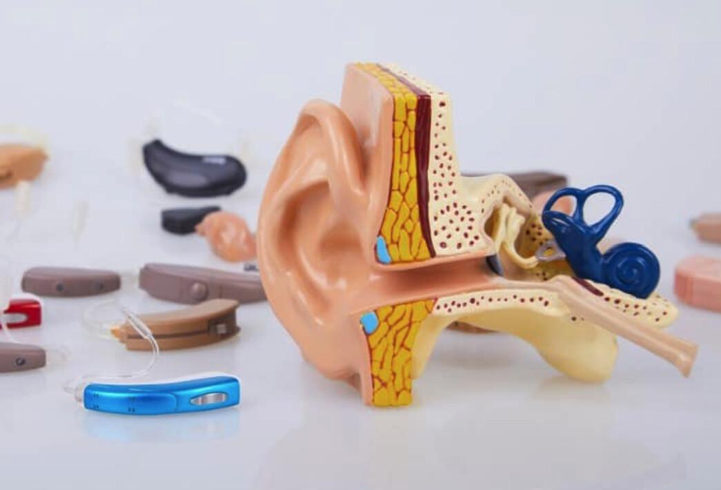 Formation DPC en Otologie en Corse