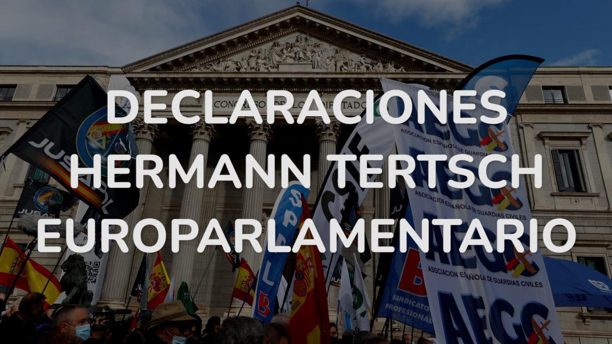 Declaraciones Hermann Tertsch Europarlamentario