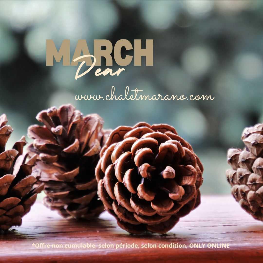 Nos Offres et Promotions