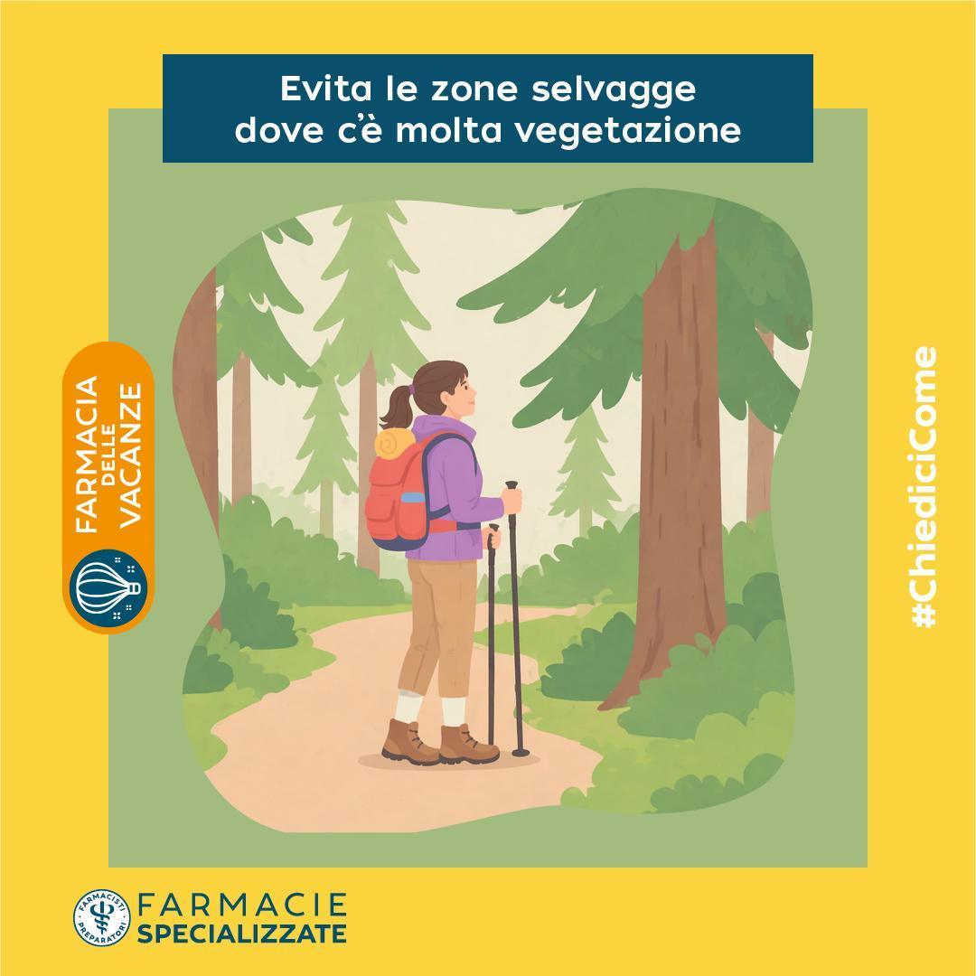 🕷️ Zecche e meduse: come proteggersi e intervenire correttamente in vacanza