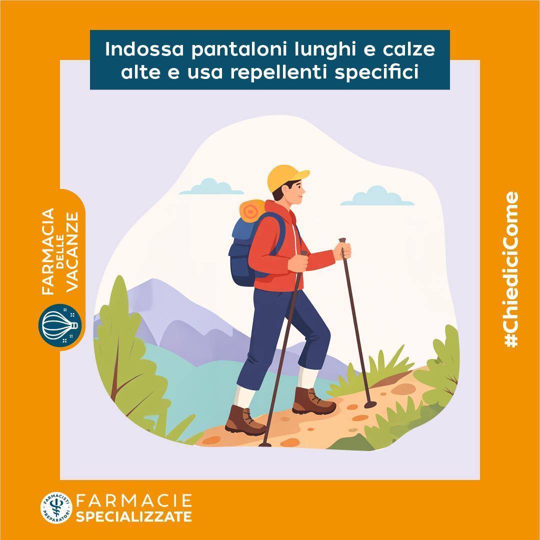🕷️ Zecche e meduse: come proteggersi e intervenire correttamente in vacanza 🕷️ Zecche e meduse: come proteggersi e intervenire correttamente in vacanza
