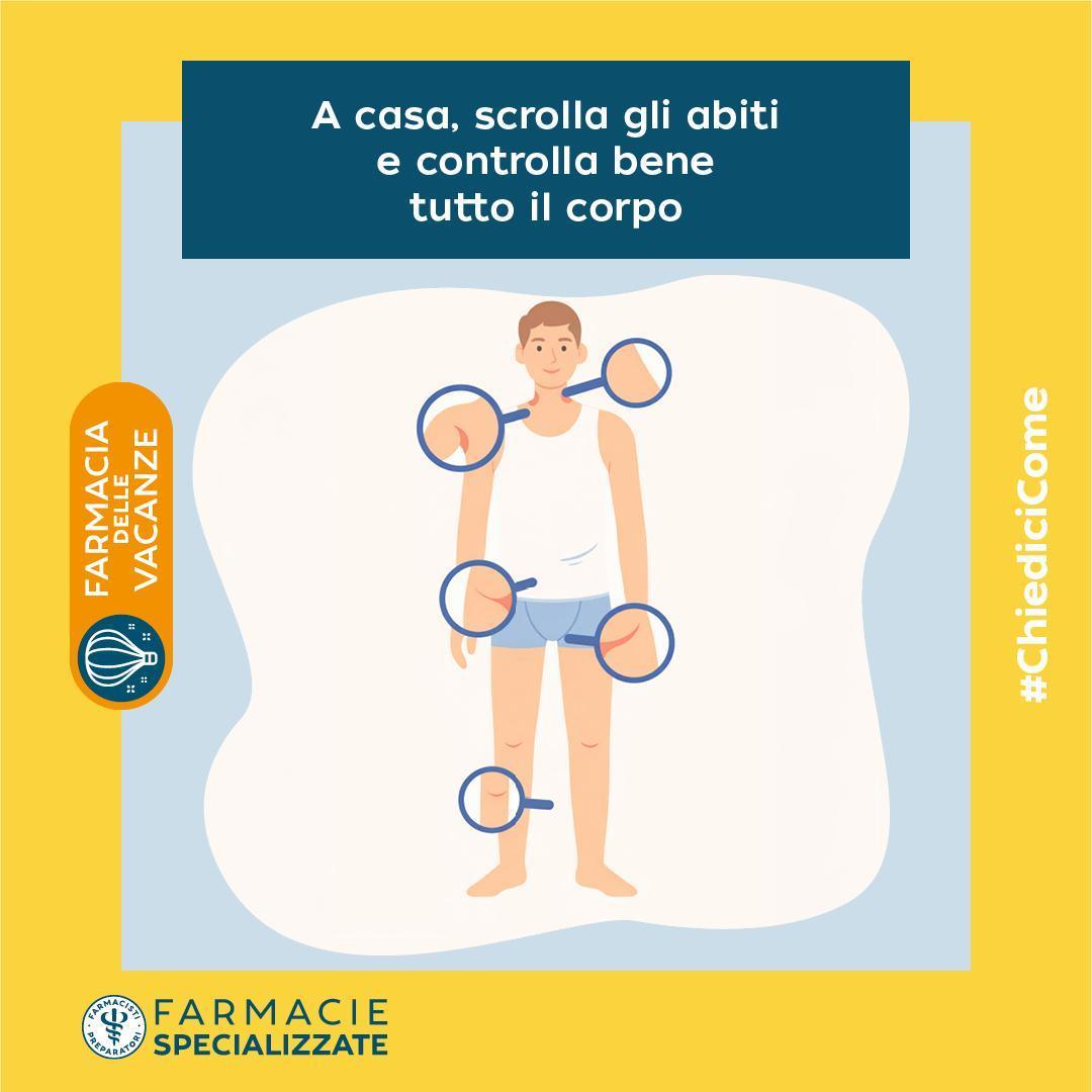 🕷️ Zecche e meduse: come proteggersi e intervenire correttamente in vacanza
