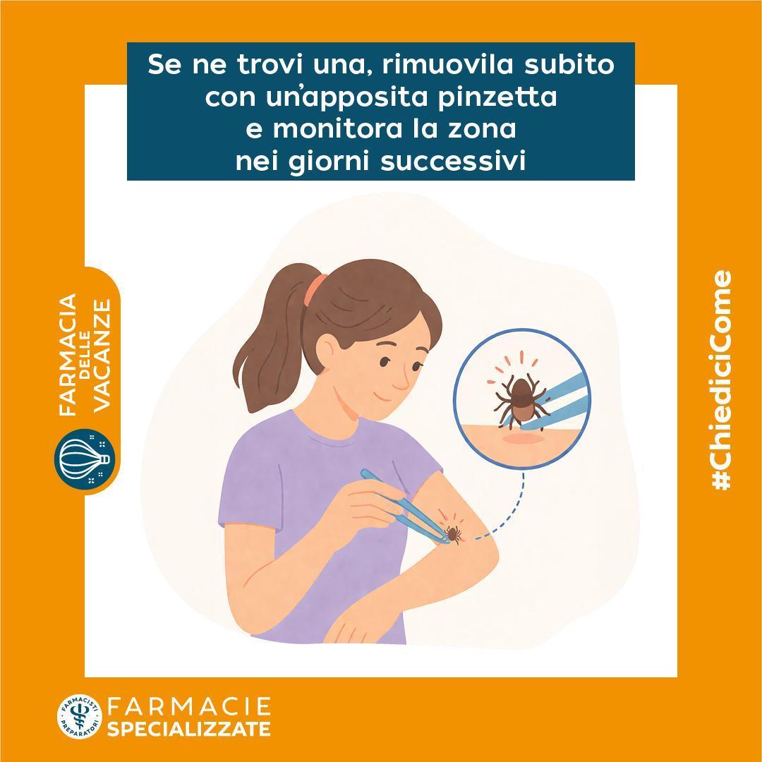 🕷️ Zecche e meduse: come proteggersi e intervenire correttamente in vacanza