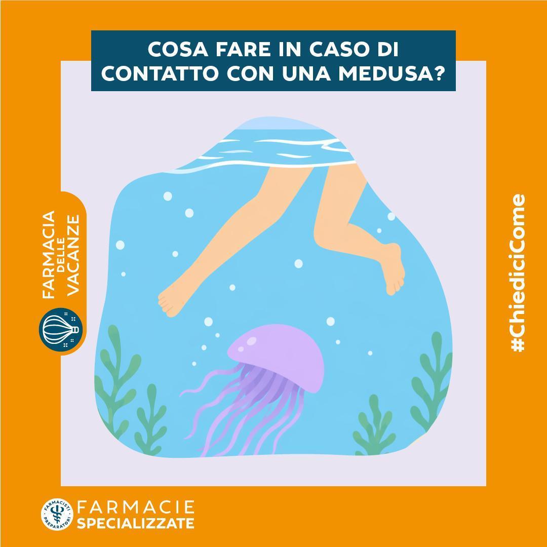🕷️ Zecche e meduse: come proteggersi e intervenire correttamente in vacanza 🕷️ Zecche e meduse: come proteggersi e intervenire correttamente in vacanza