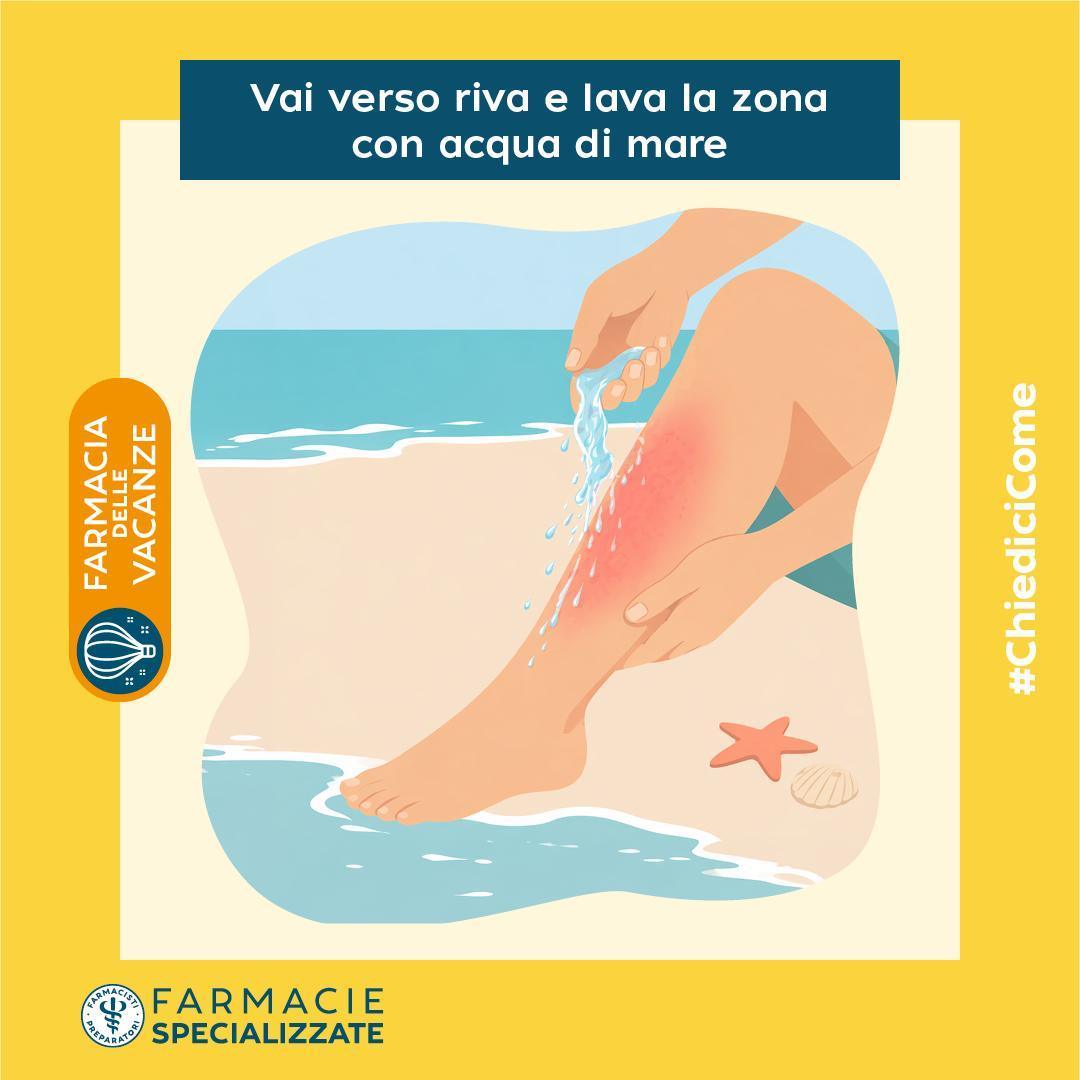 🕷️ Zecche e meduse: come proteggersi e intervenire correttamente in vacanza