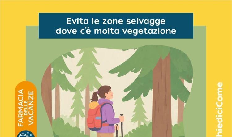 🕷️ Zecche e meduse: come proteggersi e intervenire correttamente in vacanza