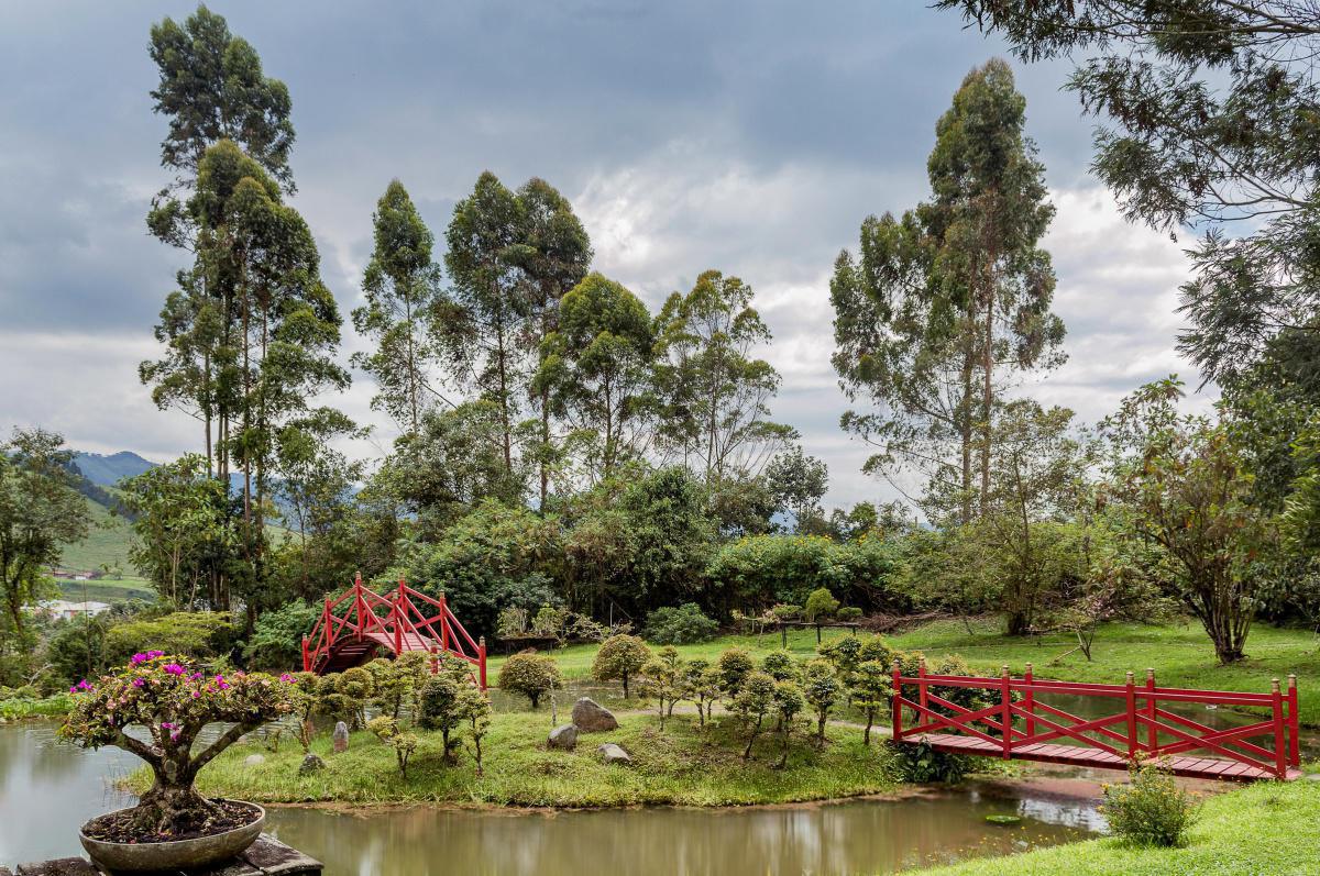 Manizales, Caldas Manizales, Caldas