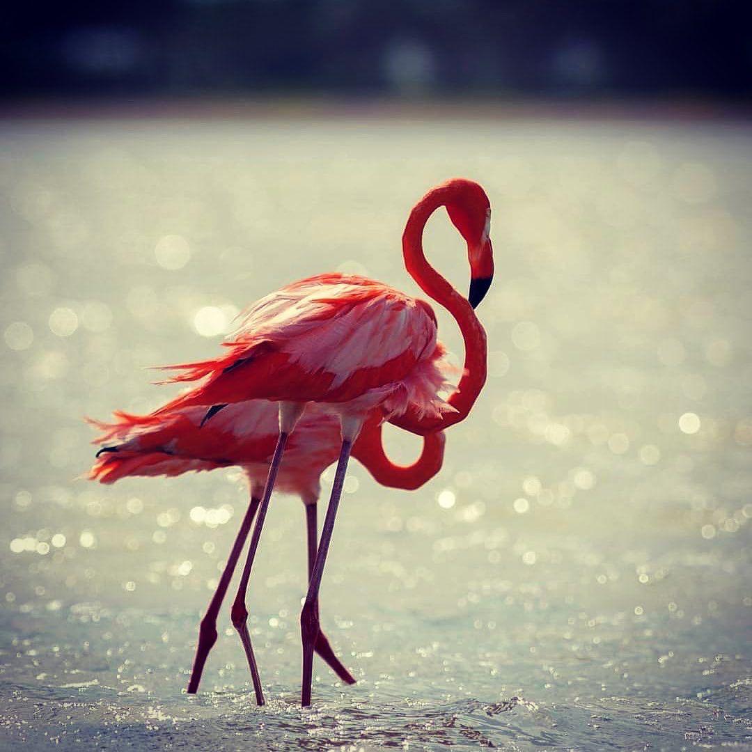 Dibulla Guajira Dibulla Guajira