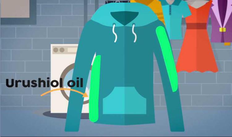 Remove Poison Plant Oil From Clothing With Tecnu Original