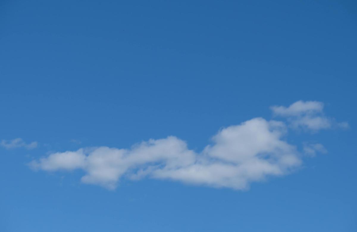 L'ozono trasforma lo stress ossidativo da problema a opportunità L'ozono trasforma lo stress ossidativo da problema a opportunità