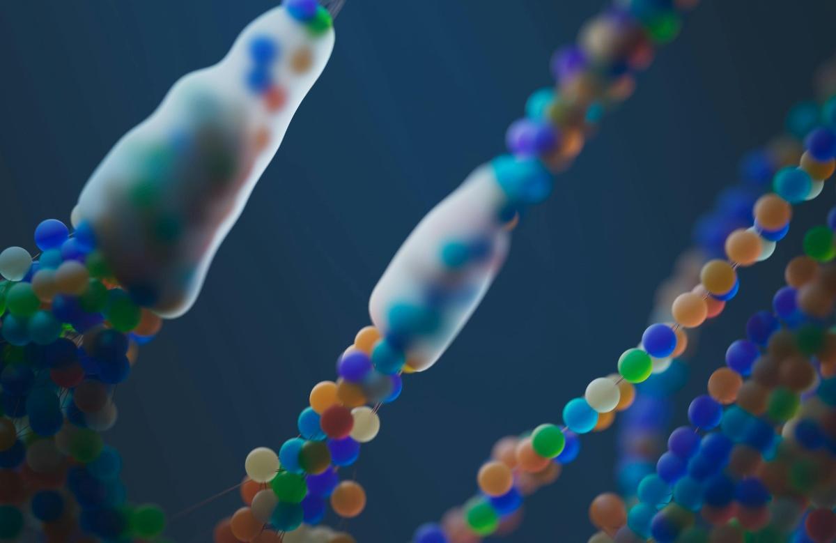 Scoperti batteri e funghi del cavo orale che provocano cancro al pancreas Scoperti batteri e funghi del cavo orale che provocano cancro al pancreas