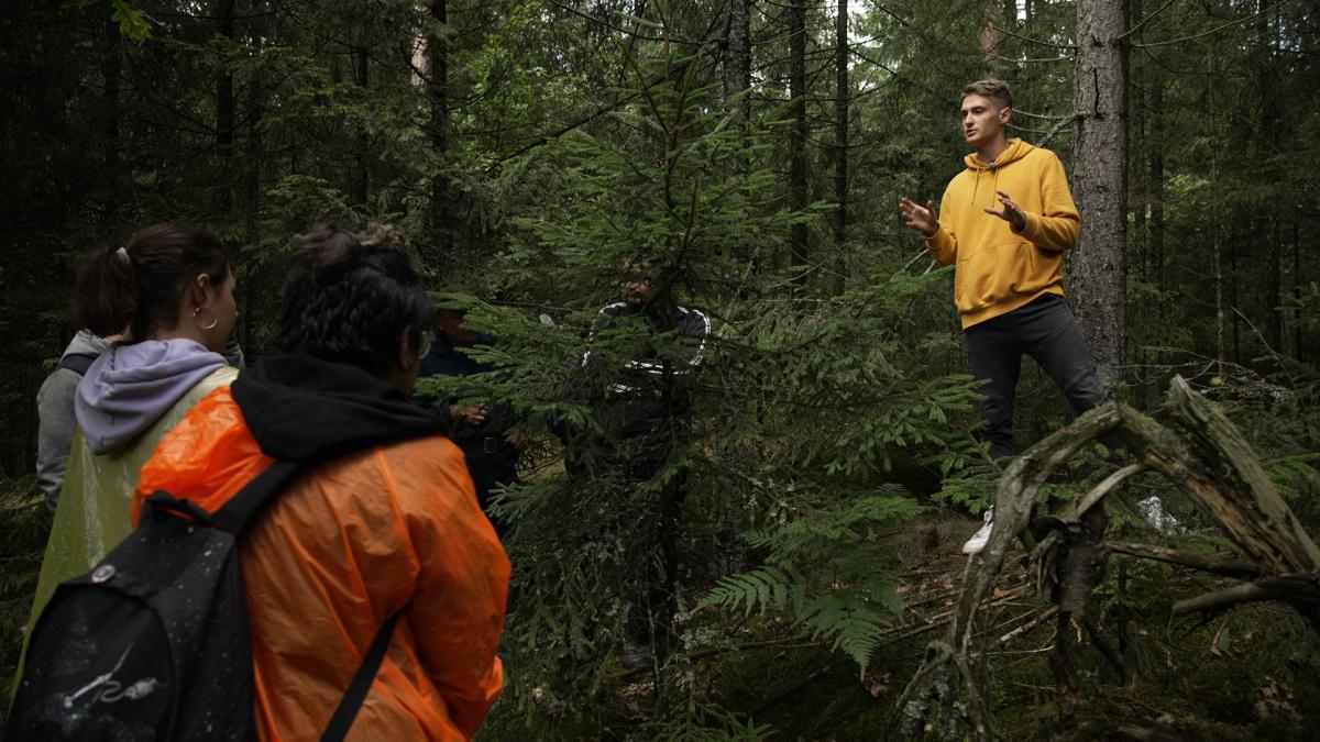 Artwork by Renat Gusev Artwork by Renat Gusev