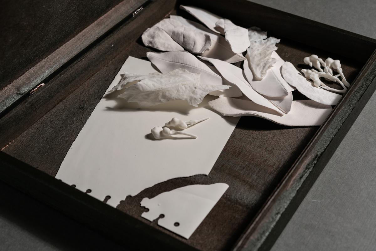 Ekaterina Skladmann | Artist & Set Designer Ekaterina Skladmann | Artist & Set Designer