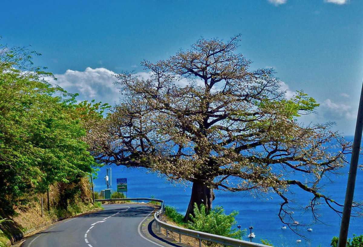 11. Le point de vue du Fromager 11. Le point de vue du Fromager