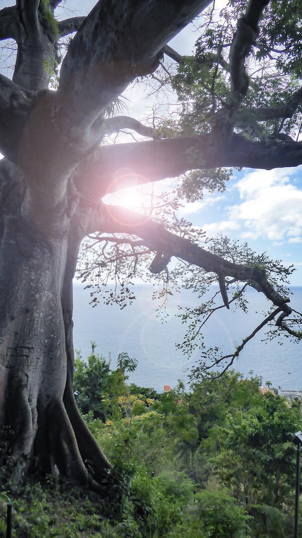 11. Le point de vue du Fromager 11. Le point de vue du Fromager