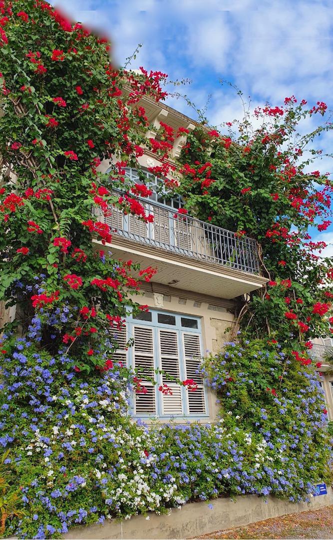 27. Château DEPAZ 27. Château DEPAZ